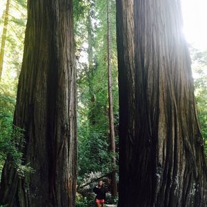 Meet your Posher, Lindsay